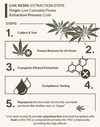 Live Resin Vs. Distillate: What’s The Real Difference? - Gro-Up